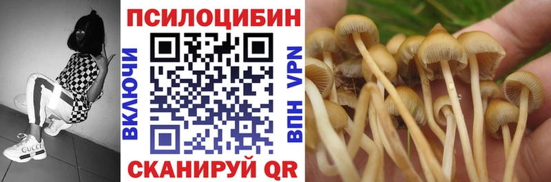 Псилоцибиновые грибы Psilocybe  дарк нет официальный сайт  Донской 